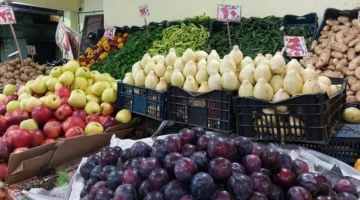 سوق العبور الاثنين يشهد انخفاض سعر الطماطم إلى 3 جنيهات